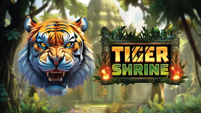 Tiger Shrine slot review by relax at Infinity Casino